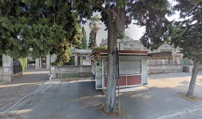 Punto Fiorito Di Vallesi Lidia & C. S.n.c., Fiorista a Porto San Giorgio