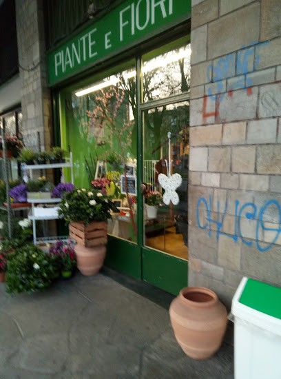 I Fiori Di Metanopoli, Fiorista a San Donato Milanese