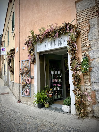 Fioriinriga, Fiorista a Albese con Cassano