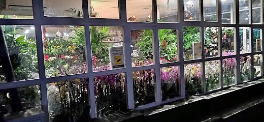 Il Paradiso Dei Fiori, Fiorista a Roma