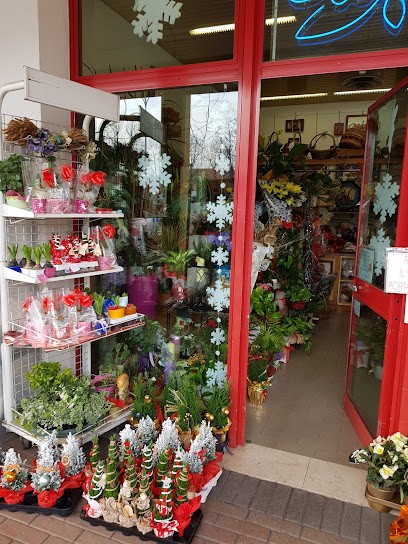 Gardenia Piante E Fiori, Fiorista a Crevalcore