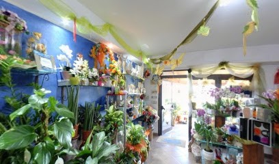 La Rosa Blu Negozio Di Fiori Filandari, Fiorista a Filandari
