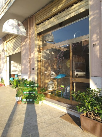 m'ama non m'ama, Fiorista a Castellana Grotte