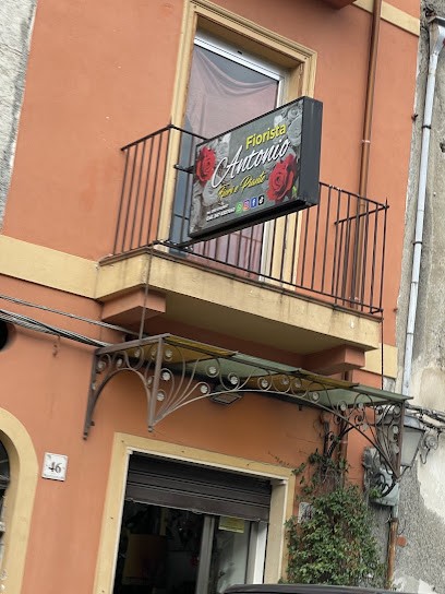 Fiorista Antonio, Fiorista a Barcellona Pozzo di Gotto