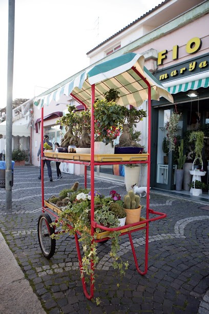 Fiorista Maryann, Fiorista a Olbia