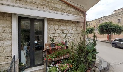 Piante E Fiori, Fiorista a Ramacca