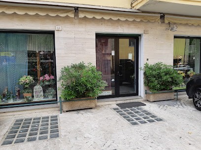 La Primavera, Fiorista a Perugia