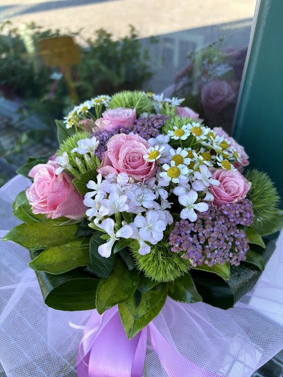 I fiori di Della Santa Elena, Fiorista a San Costanzo