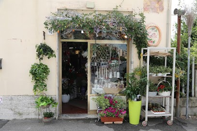 Fiorista Lilla', Fiorista a Livorno