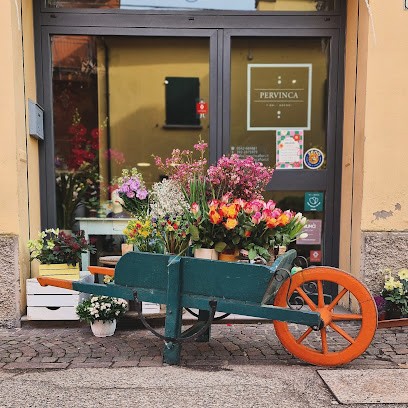 PERVINCA fiori & decori, Fiorista a Borgo Tossignano