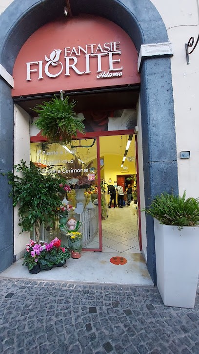 Fantasie Fiorite, Fiorista a Torre Annunziata