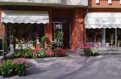 L'ANGOLO VERDE Fiori E Piante Matelica, Fiorista a Matelica