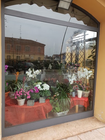 Florarte Di Ascari Mara, Fiorista a Mirandola