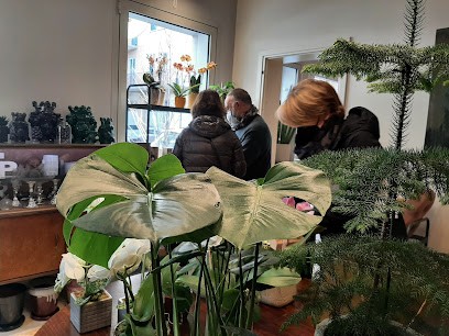 Tommaso Bovone Fiori, Fiorista a Treviso