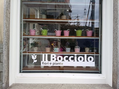 Il Bocciolo Fiori e Piante, Fiorista a Villar Dora