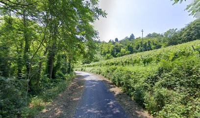 De Martini Negri Anna Maria, Fiorista a Montù Beccaria