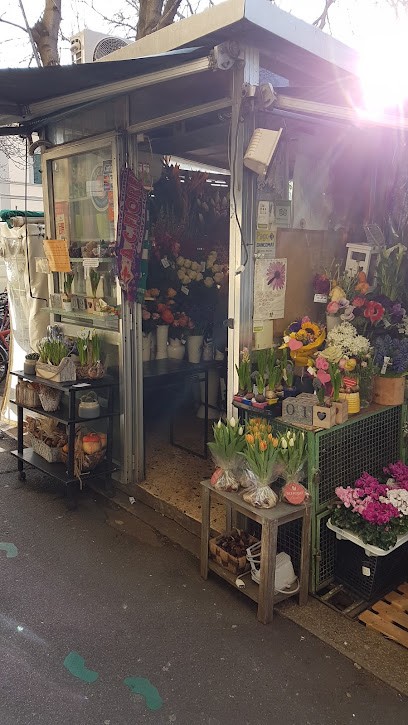 Fiorista Rabatti Carla, Fiorista a Firenze