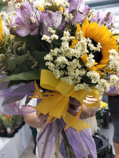 Fiorista Braghittoni Marcello E C. Snc, Fiorista a Cesenatico