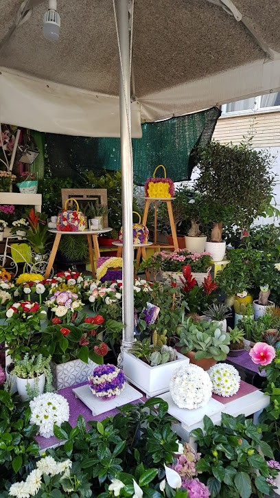Massimo' Flower Shop, Fiorista a Roma