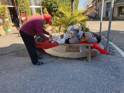 Fiorista Bernardoni Sergio Fiori E Piante, Fiorista a Schivenoglia