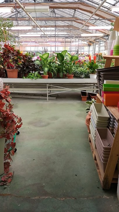 La Serra Di Ferrari Mirja, Fiorista a Porto Mantovano