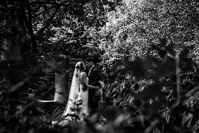 Fiorista Rossi Di Claudio Onorato Rossi, Fiorista a Genova