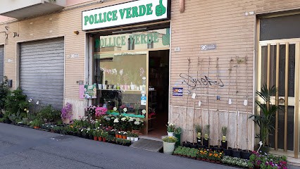 POLLICE VERDE, Fiorista a Quartu Sant'Elena