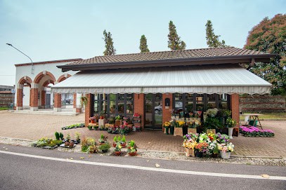 Chionni Fiori, Fiorista a Somma Lombardo