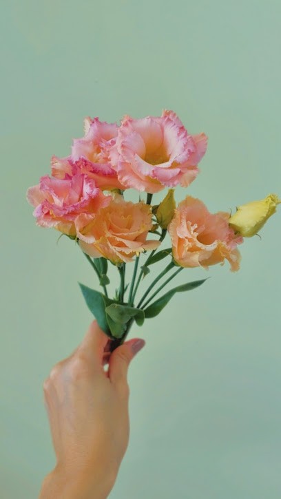 Ortensia, Fiorista a Savona