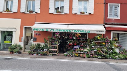 Pets & Flowers' World, Fiorista a Garda
