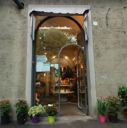 Fiori E Piante, Fiorista a Firenze