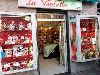 La Violetta Di Volpe Anna, Fiorista a Salerno