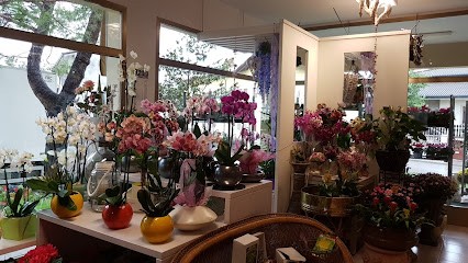 Fioreria Al Platano, Fiorista a Castions di Strada