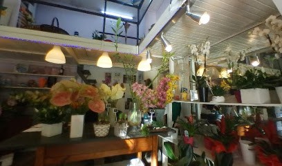 Marco Fiori Di Rosi Marco, Fiorista a La Spezia