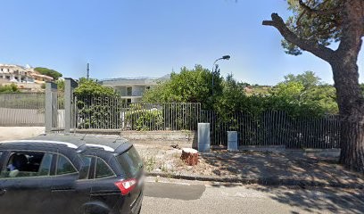 Flower Service S.R.L., Fiorista a Ercolano