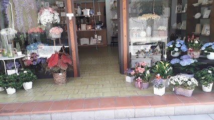 Flor Designer Decor, Fiorista a Striano