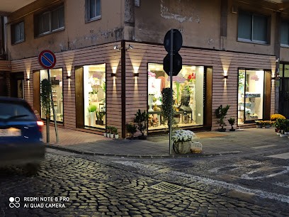 La Primavera, Fiorista a Sarno