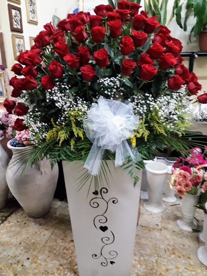 Garden Center 2 Di De Magistris Paolo, Fiorista a Qualiano