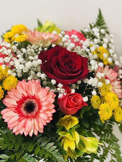 GiuliFiori, Fiorista a Novafeltria