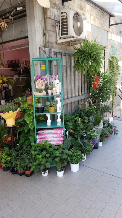 Minhas Piante E Fiori, Fiorista a Roma