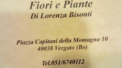Bisonti Lorenza Fiori E Piante, Fiorista a Vergato