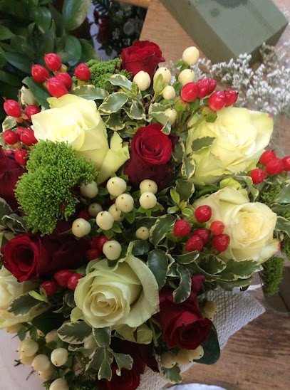 Vanisca - Fiori E Piante, Fiorista a Finale Emilia