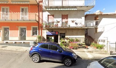 Fiori E Piante La Camelia, Fiorista a Sant'Agata di Militello