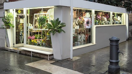 Event Flower Srls, Fiorista a Roma