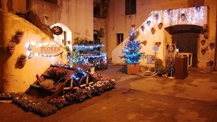 Flores, Fiorista a Marciana Marina