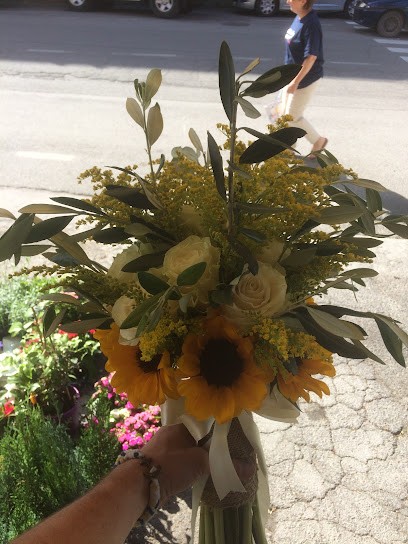 Fiori Per Te Di Guidotti Marco, Fiorista a San Quirico d'Orcia