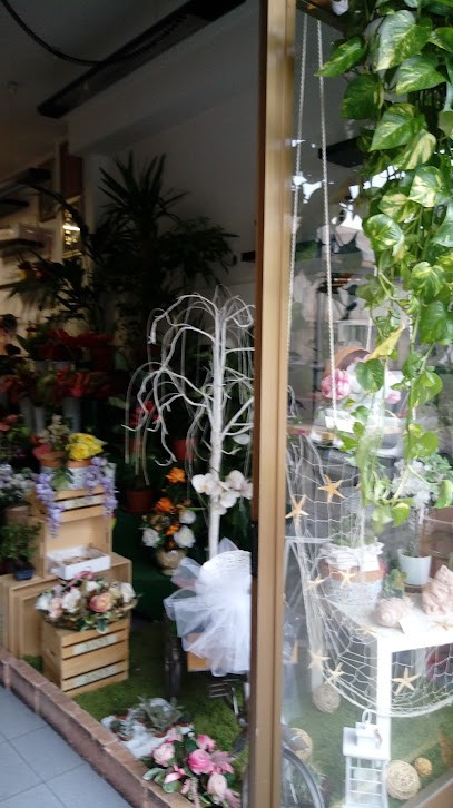 Piante E Fiori Di Giuseppe D'Alessio, Fiorista a Cava de' Tirreni