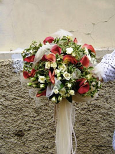 Verdi Tentazioni, Fiorista a Lamezia Terme