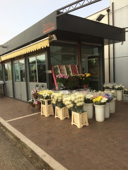 Braccia Angelo, Fiorista a Termoli