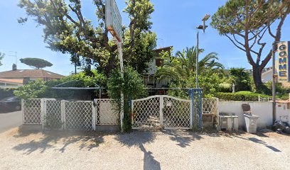 Blu Garden Piante E Fiori Gina Scilipoti, Fiorista a Fiumicino